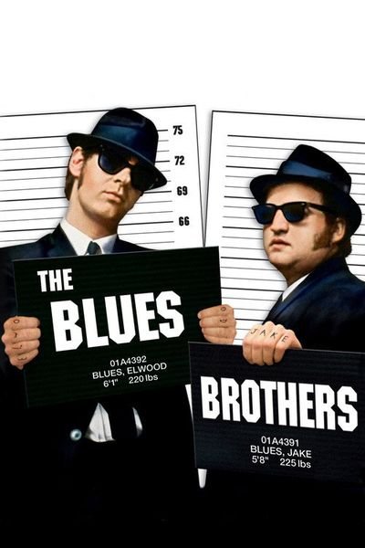 The blues brothers poster