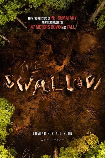 The Swallow poster