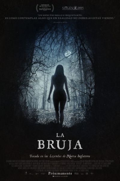 The Witch (2015) poster