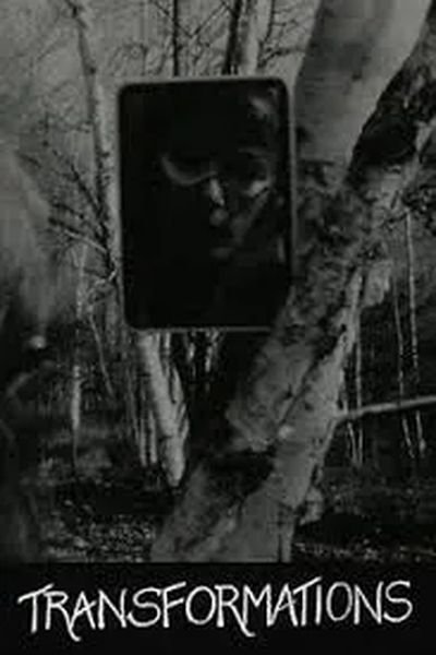 Transformations poster